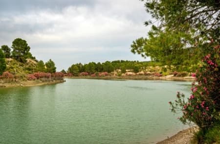 Mayes Reservoir (Murcia)