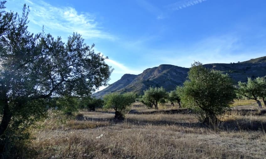 Monte Arabí (Yecla - Murcia)